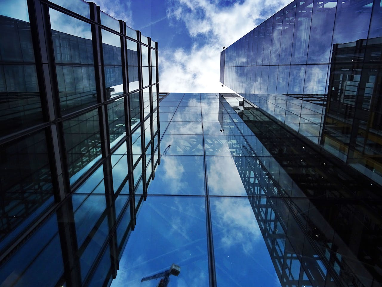 Company Overview